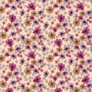 Aster