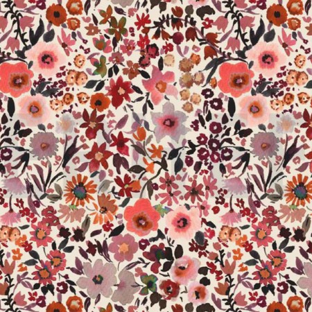 Coton-fleurs-Alexia