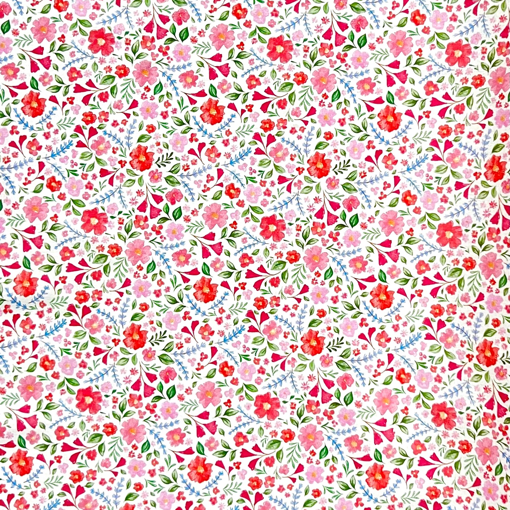 Coton-fleurs-Jasmin