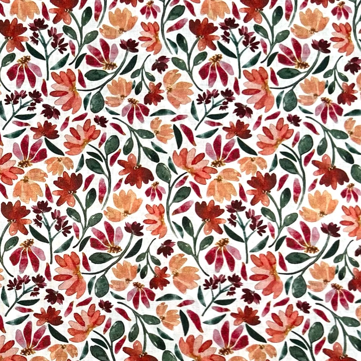 Coton-fleurs-Ysee