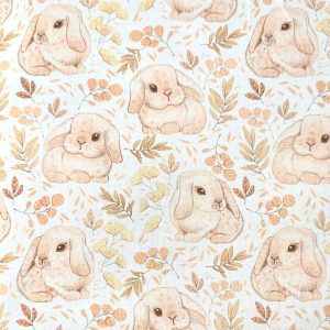 Lapin bélier nain
